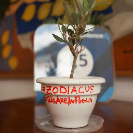 Zodiacus Apartmanhotel 4*