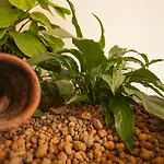 Aparthotel Zodiacus Bari