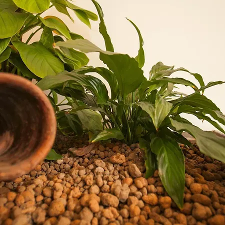 Aparthotel Zodiacus Bari