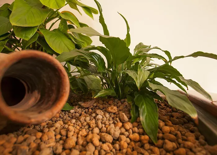 מלון דירות Zodiacus בארי